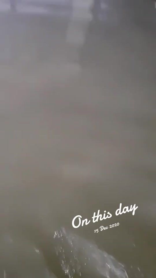 TikTok video thumbnail by pasailamihai