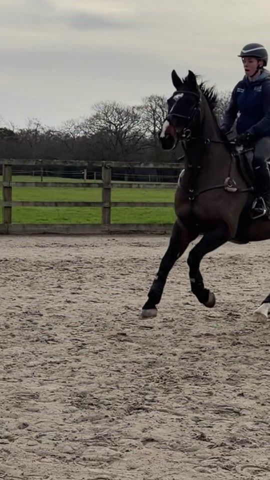 TikTok video thumbnail by beth_hobden_eventing