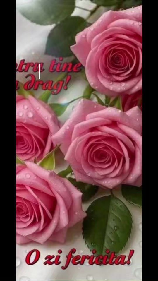 TikTok video thumbnail by 00.marcela.00