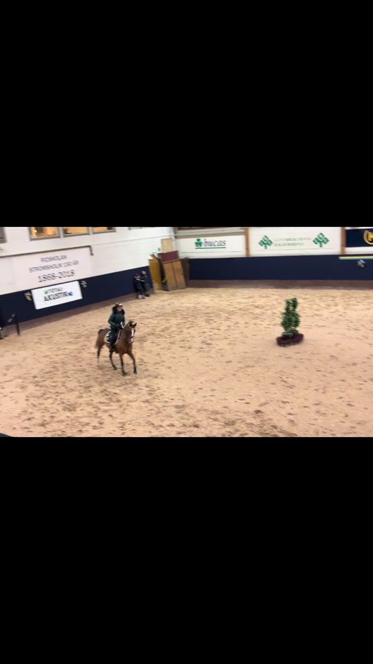 TikTok video thumbnail by lovisa.g3