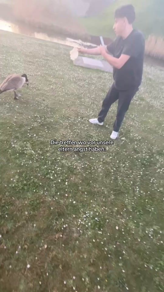 TikTok video thumbnail by lib47.mardin
