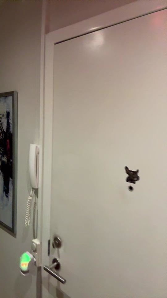 TikTok video thumbnail by michaelmarco.dk