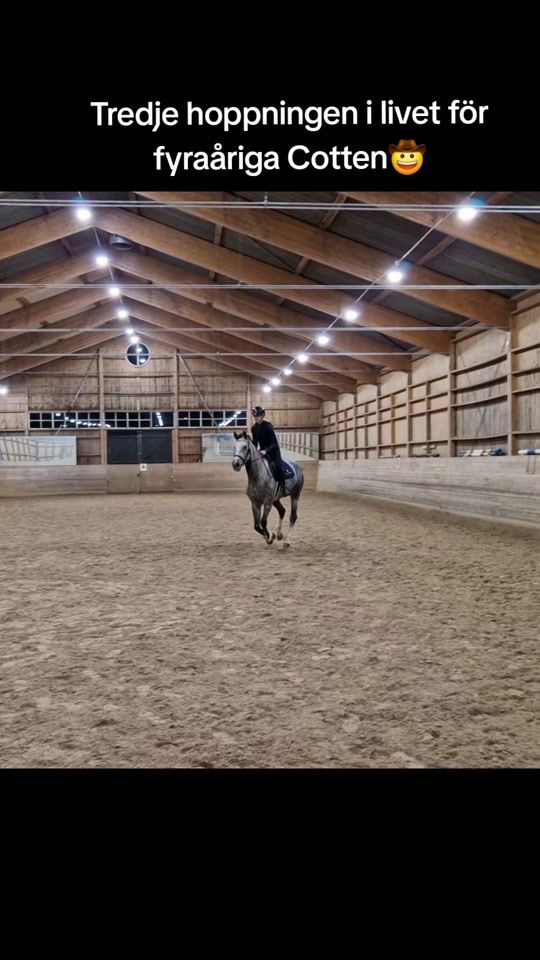 TikTok video thumbnail by equi.linnea0