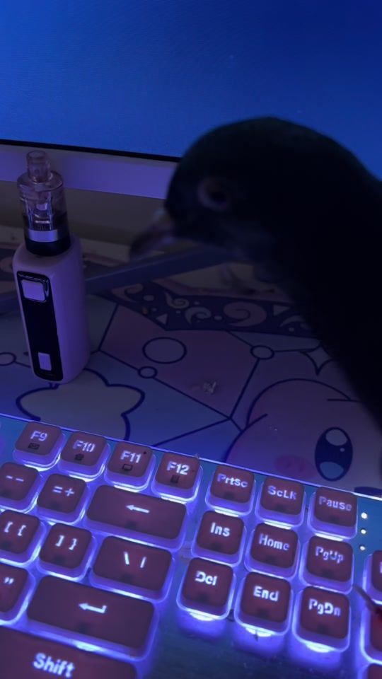 TikTok video thumbnail by nekobutts