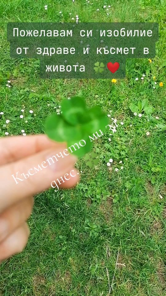TikTok video thumbnail by didka7713