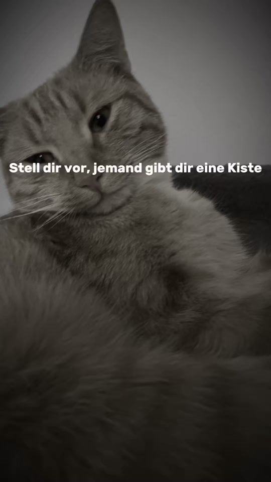 TikTok video thumbnail by fynn0592