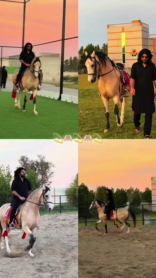 TikTok video thumbnail by rokhri.king