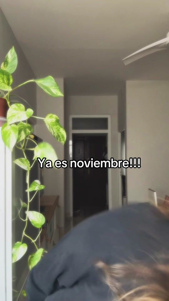 TikTok video thumbnail by fermorah