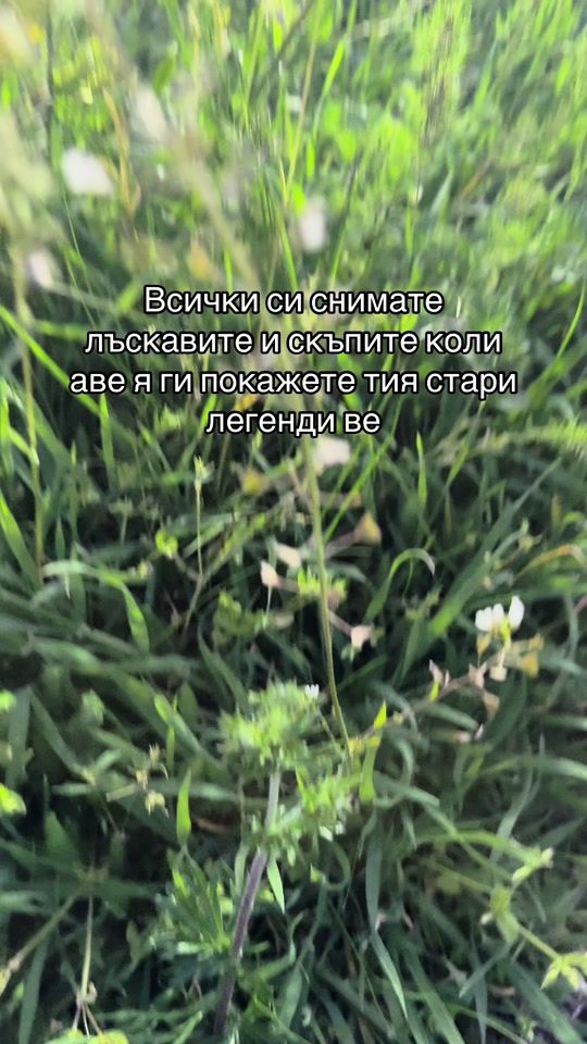 TikTok video thumbnail by misho_donev777