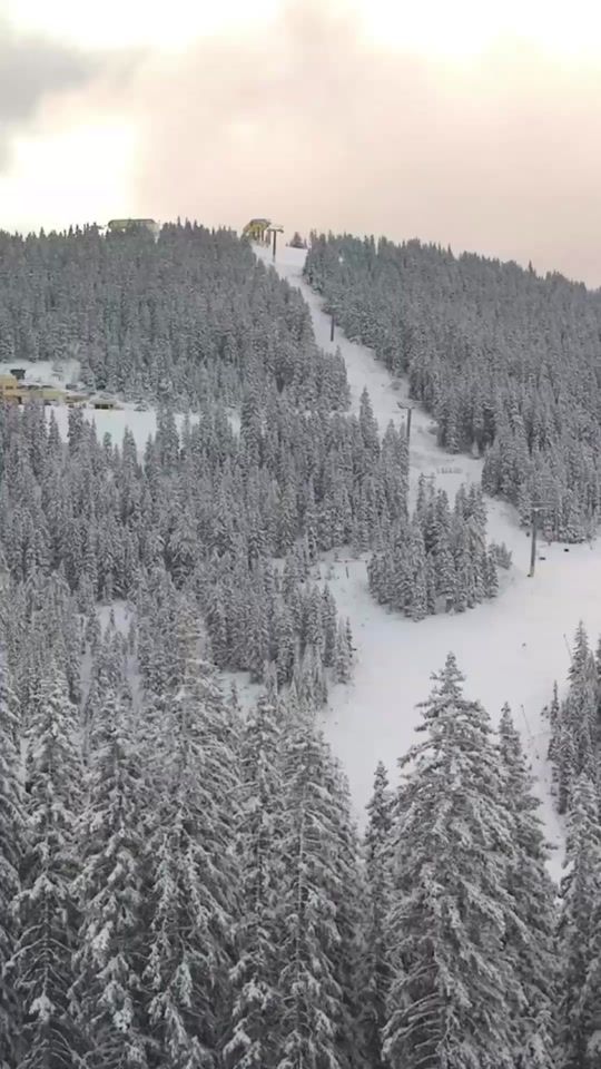 TikTok video thumbnail by schladmingdachstein.at