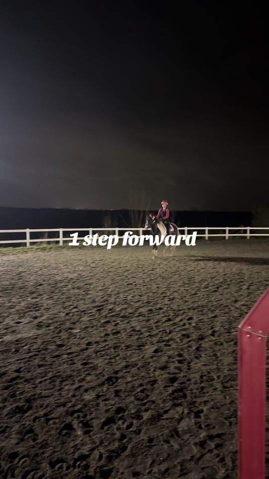 TikTok video thumbnail by l.equestriann1
