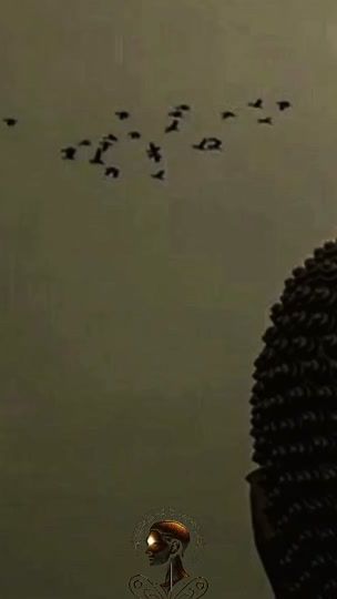 TikTok video thumbnail by flourishingphilosophy