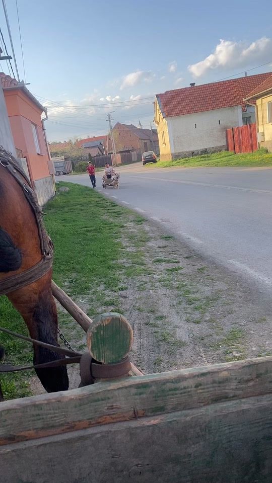 TikTok video thumbnail by dobondi_antal