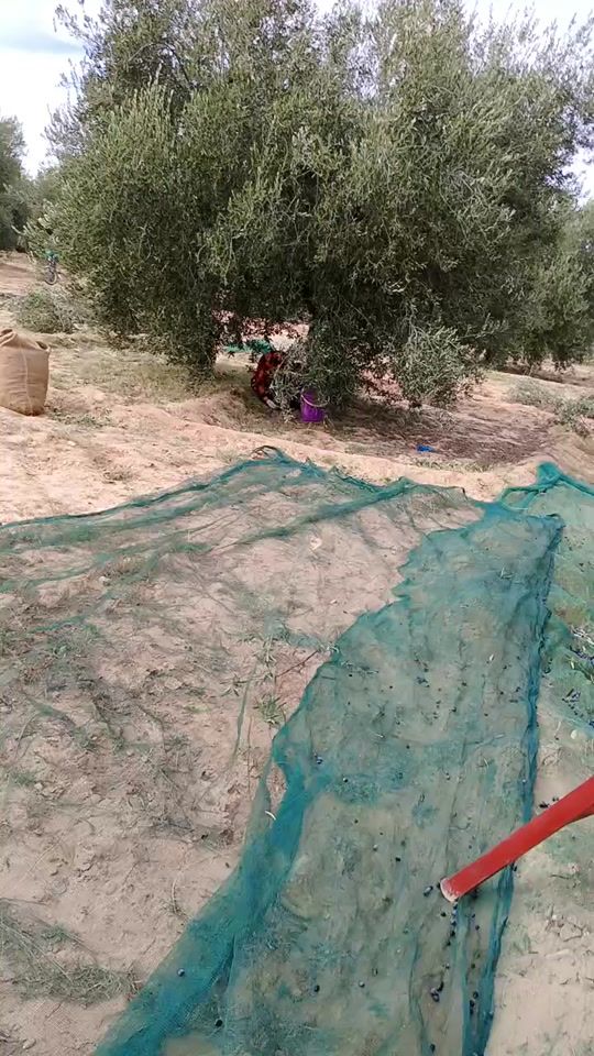 TikTok video thumbnail by nawagham2