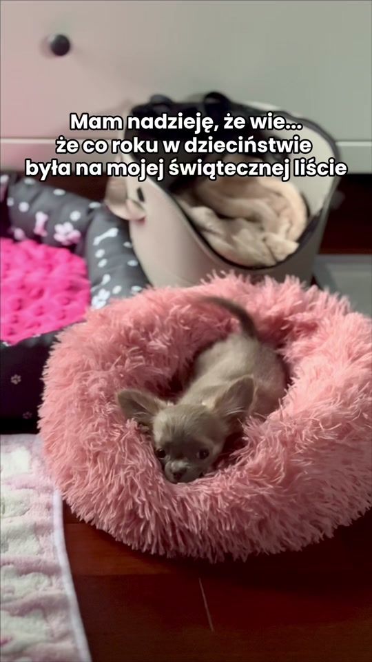 TikTok video thumbnail by liczi.thechichi