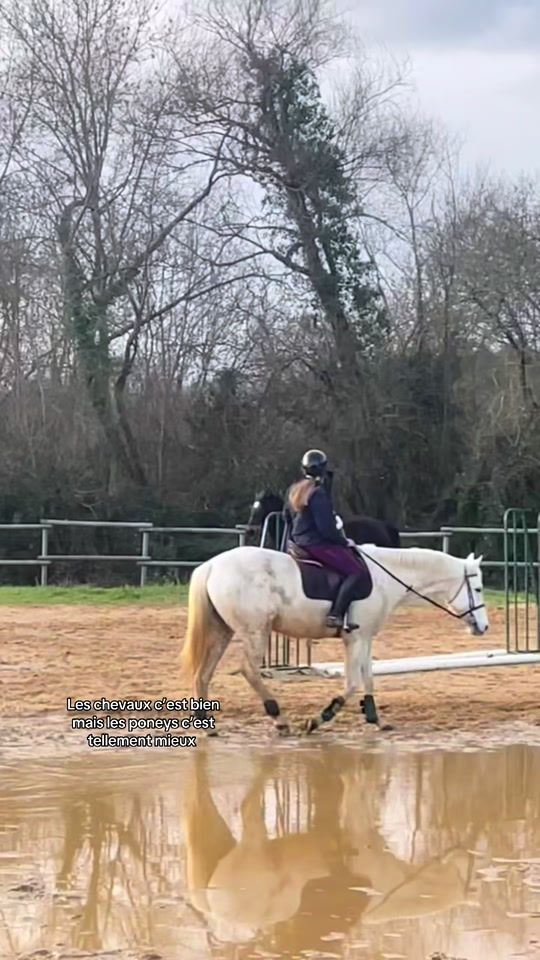 TikTok video thumbnail by horse.12.3