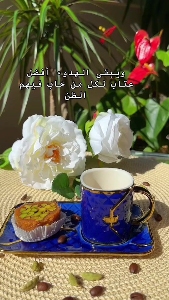 TikTok video thumbnail by abeer.alaoda