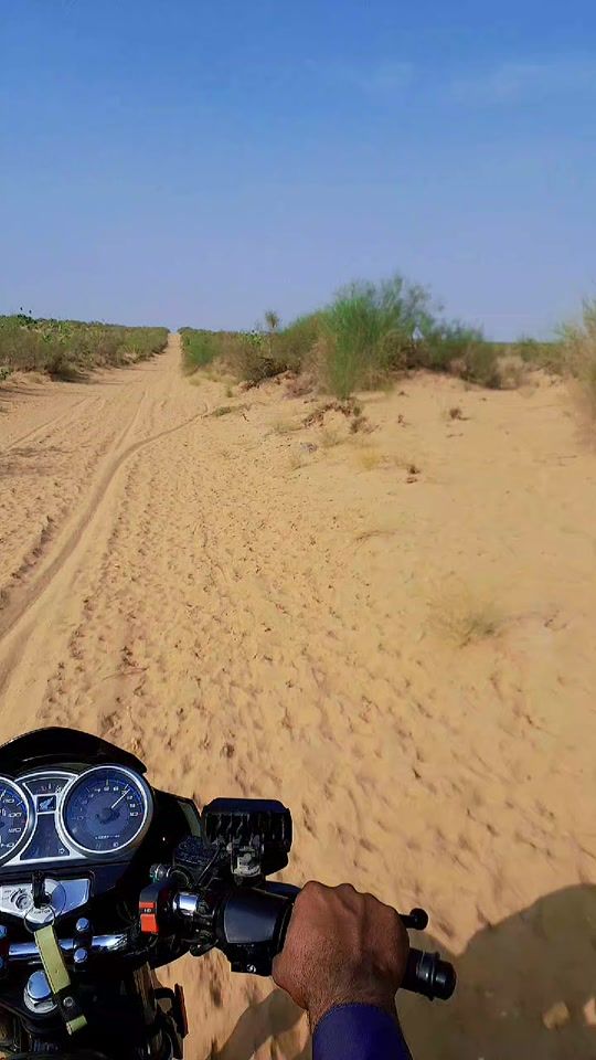 TikTok video thumbnail by wildjatoi