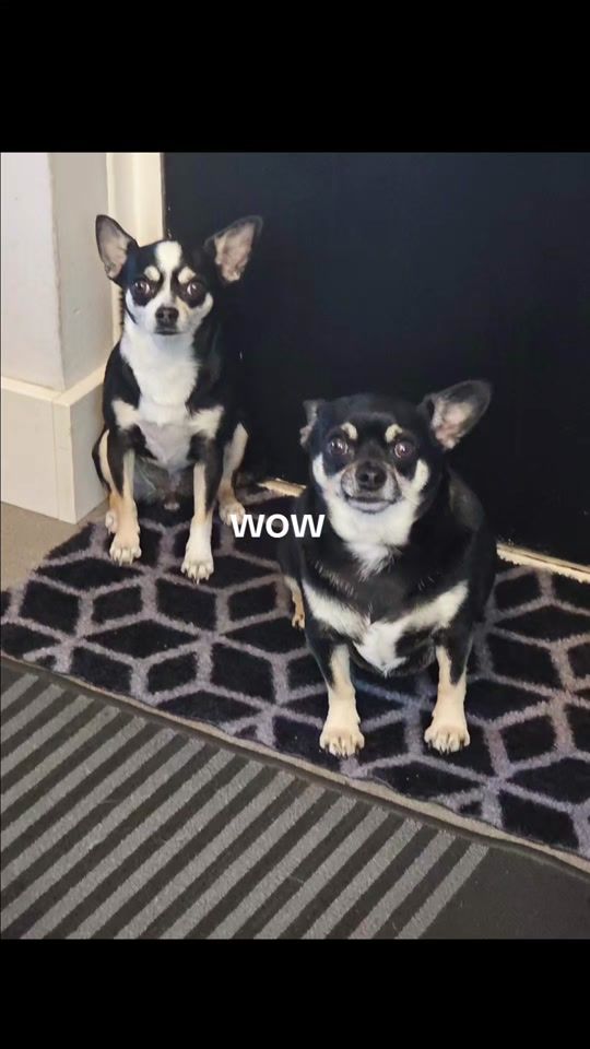 TikTok video thumbnail by blownup20