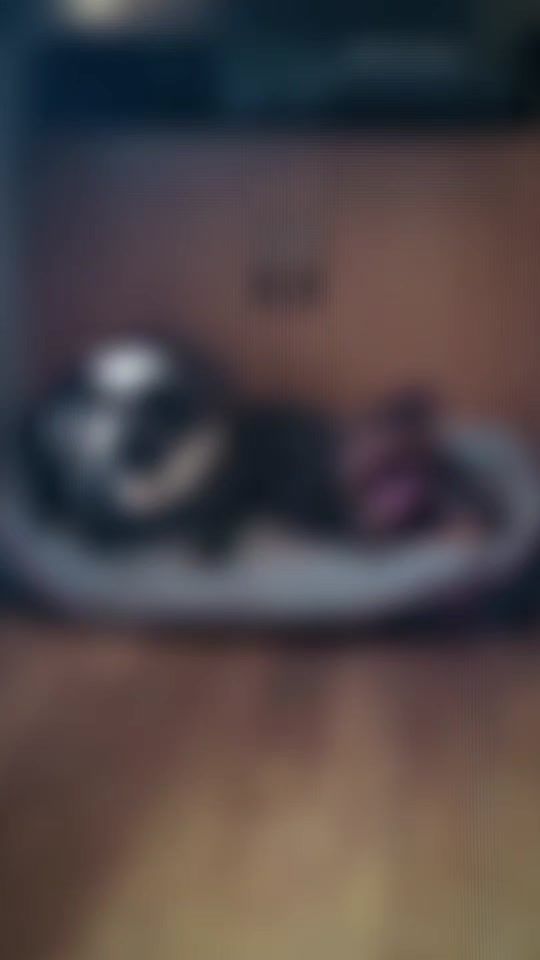 TikTok video thumbnail by spudslegacy
