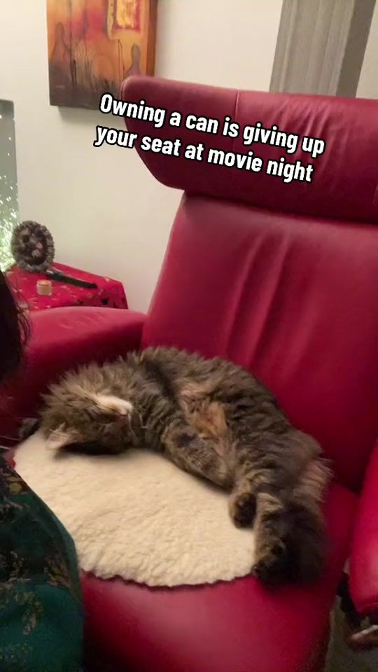 TikTok video thumbnail by linamariko