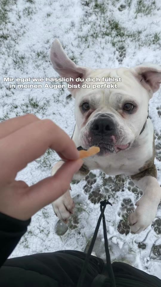 TikTok video thumbnail by sky110512