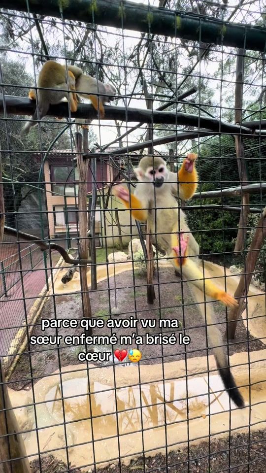 TikTok video thumbnail by enn_a4