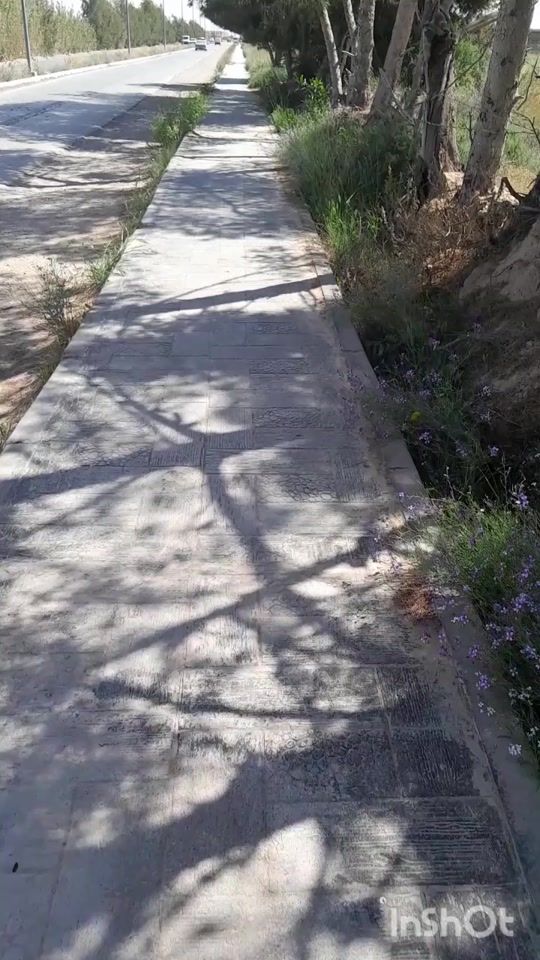 TikTok video thumbnail by nine_tis3a_9