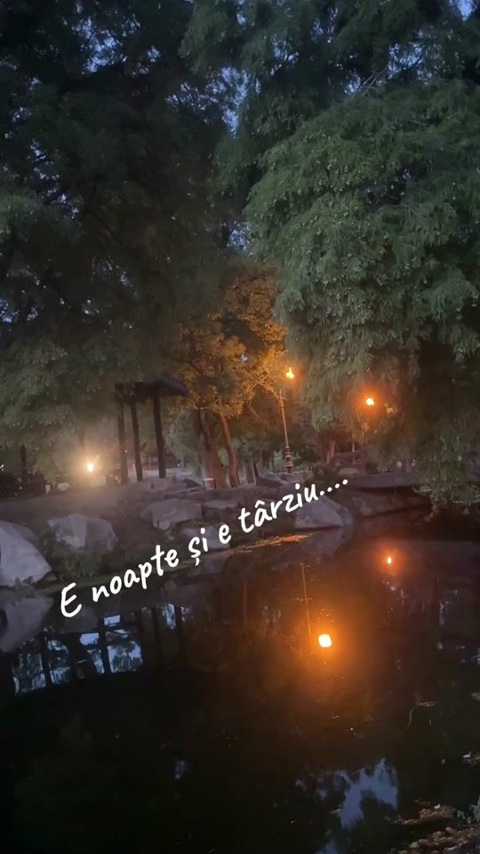 TikTok video thumbnail by elena.camelia