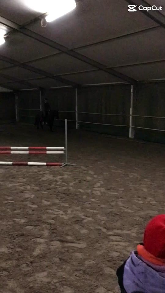 TikTok video thumbnail by pferdemedchen5