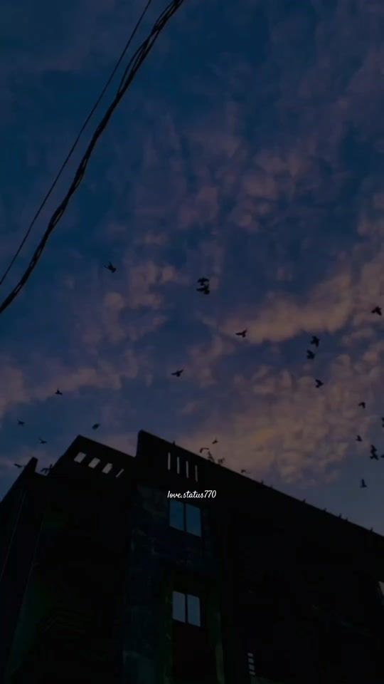 TikTok video thumbnail by love.status770