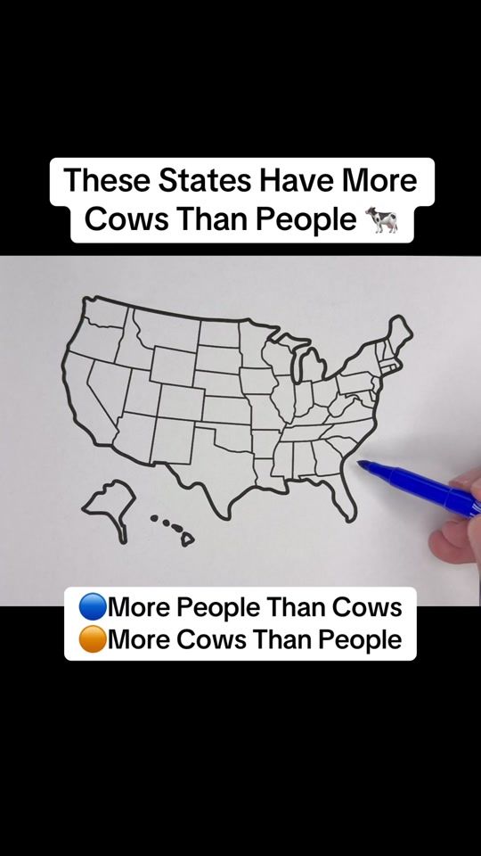 TikTok video thumbnail by drawingmapswithme