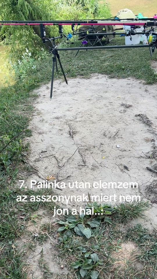 TikTok video thumbnail by mozesk