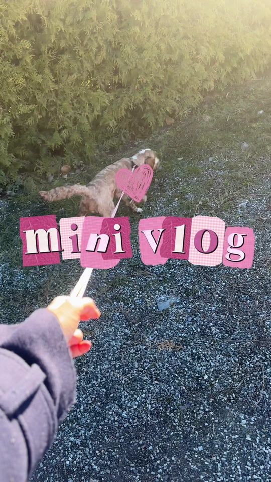 TikTok video thumbnail by toraskarstein
