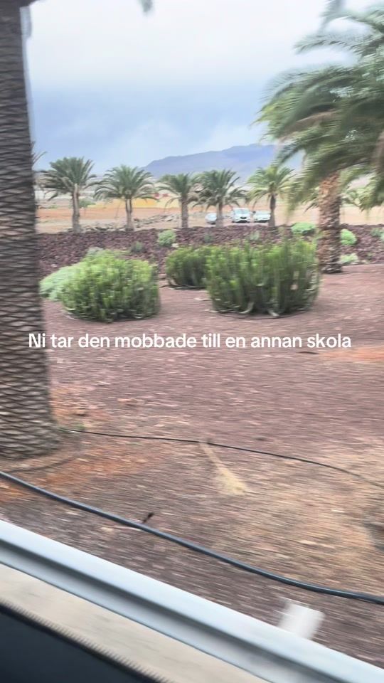 TikTok video thumbnail by ringstrom20