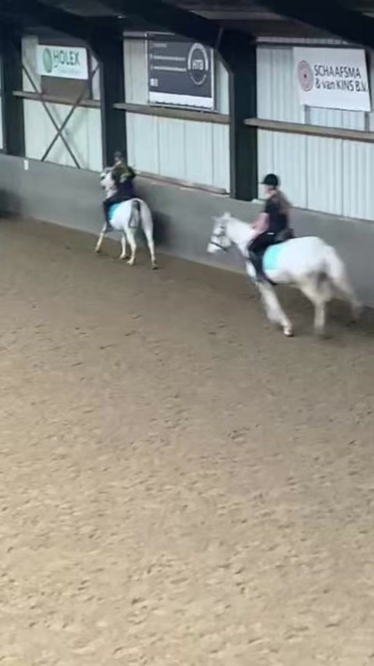 TikTok video thumbnail by elineoverdevest