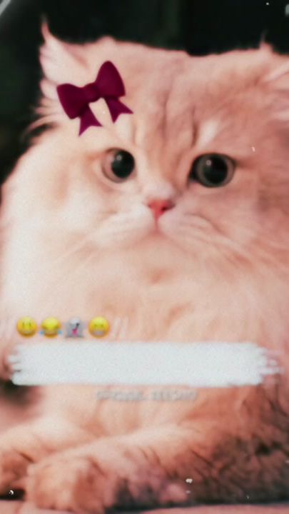 TikTok video thumbnail by original_zeesho