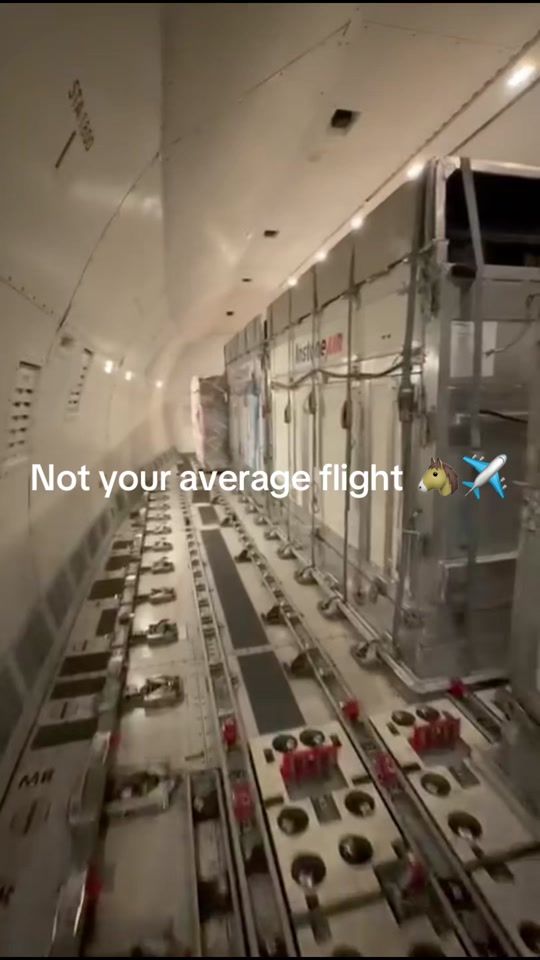TikTok video thumbnail by joe_stockdale
