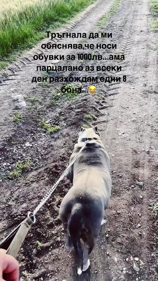 TikTok video thumbnail by ivan.iordanov3