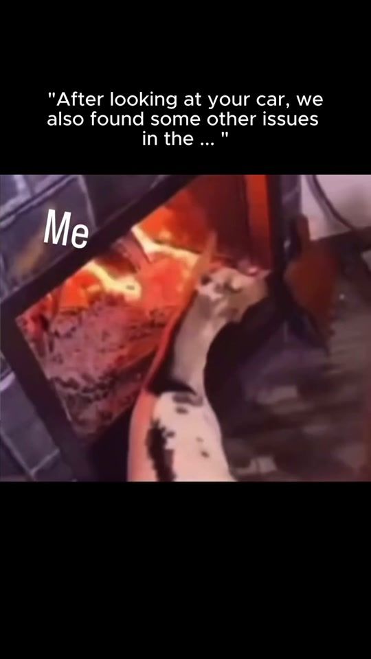 TikTok video thumbnail by marlo.nk