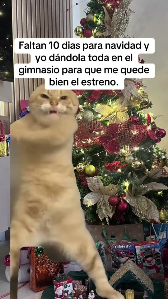 TikTok video thumbnail by user222_352