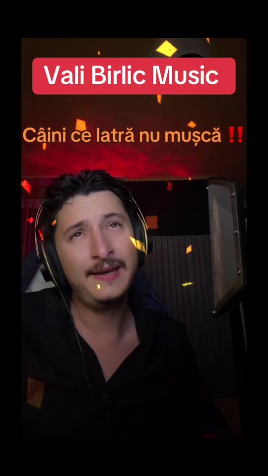 TikTok video thumbnail by valibirlicmusic