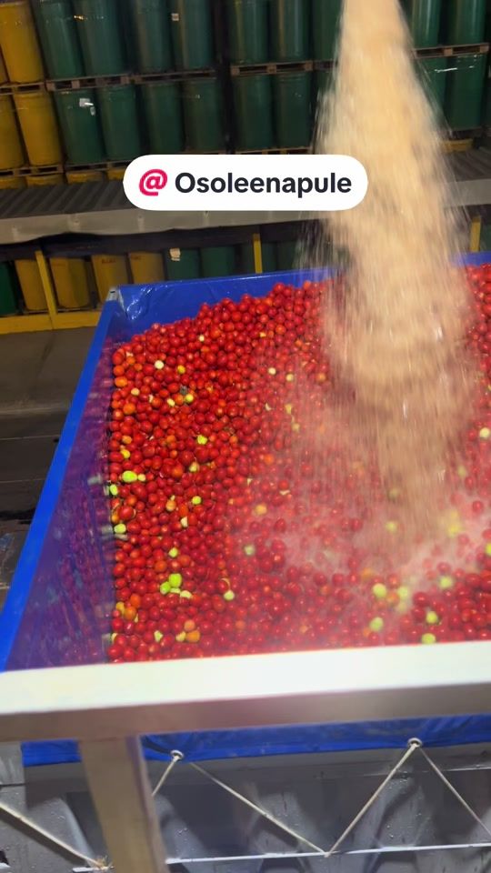 TikTok video thumbnail by flaviocarriera