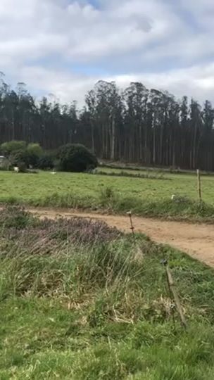 TikTok video thumbnail by mesia.maderas