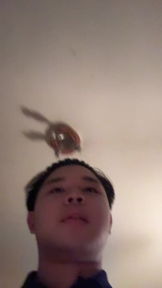 TikTok video thumbnail by euanama