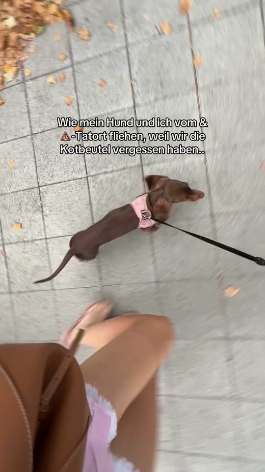 TikTok video thumbnail by lookhowthestarsshine