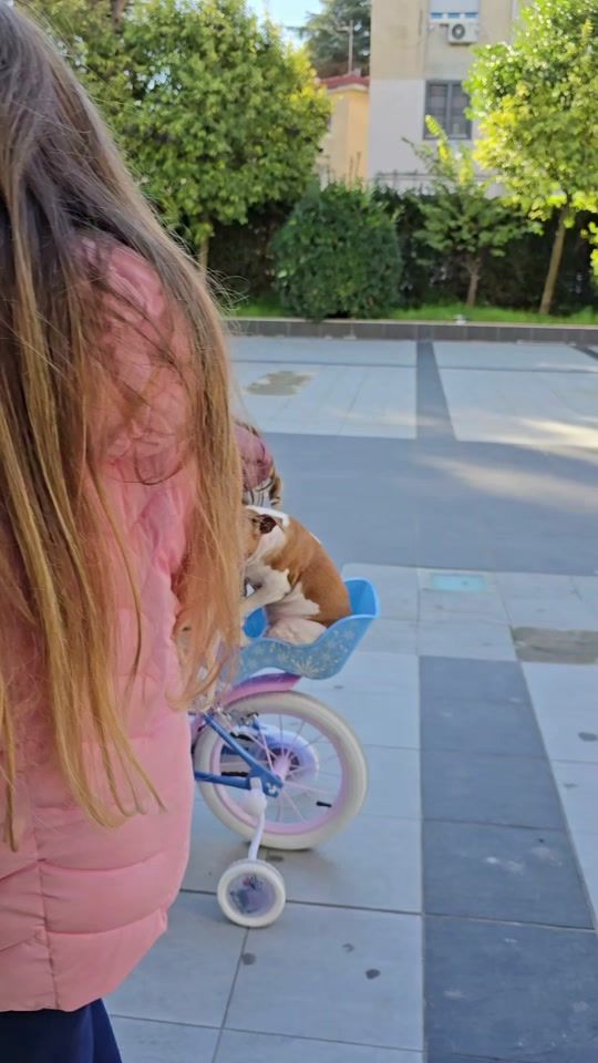TikTok video thumbnail by simply_mama_mary