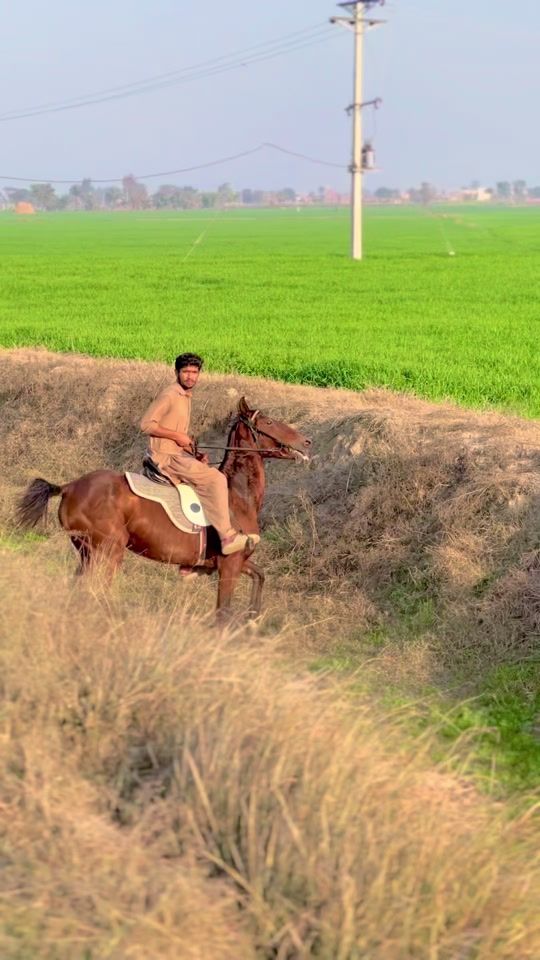 TikTok video thumbnail by ray.attaulhai1