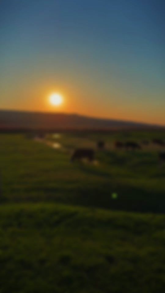 TikTok video thumbnail by simmental.lact