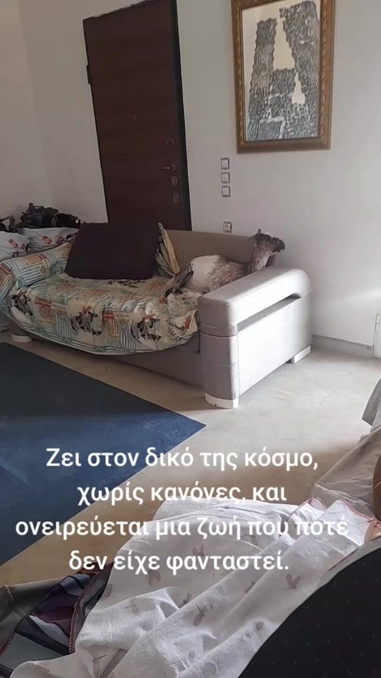 TikTok video thumbnail by s.l.e.farm